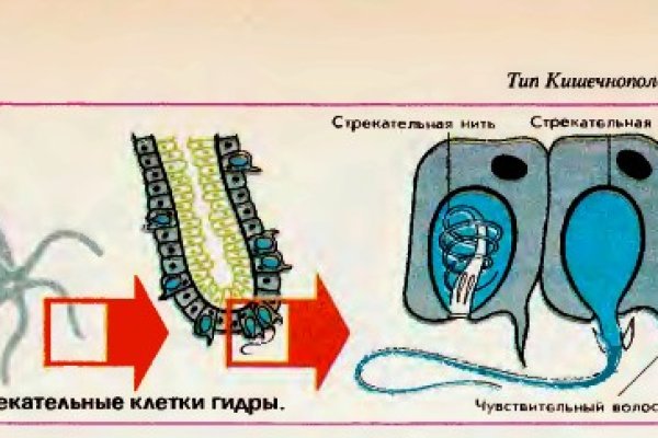 Зайти на кракен без тора