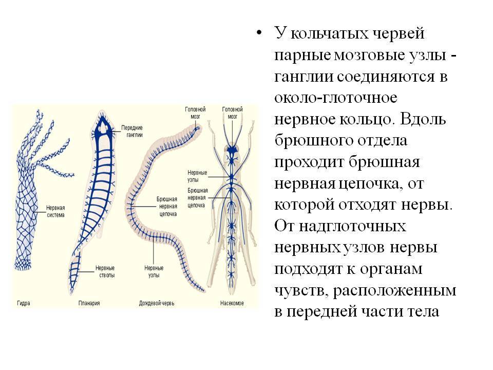 Кракен наркошоп ссылка